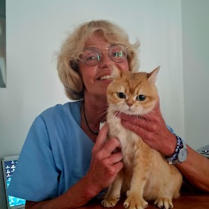 Ortsbild von „Christine Suchfort“